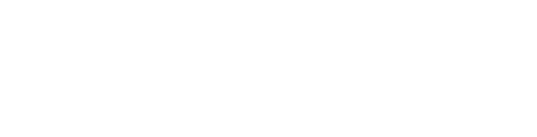 Microsegur