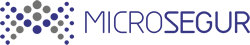 MicroSegur, Soluções de Engenharia de segurança